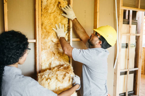 Best Professional Insulation Contractor  in Bangor, ME